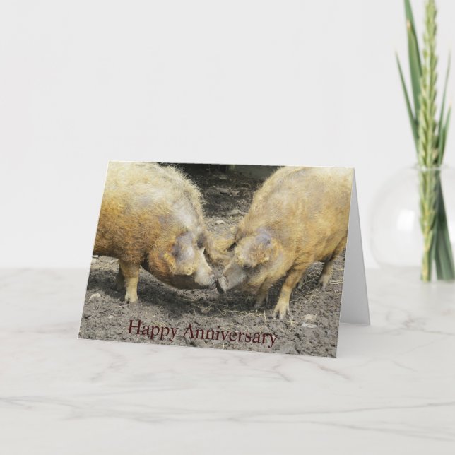 Two Large Pigs Happy Anniversary Card (Front)