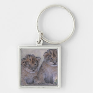 Two Lion Cubs Keychain