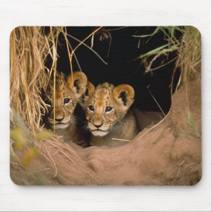Two Lion Cubs Mouse Pad