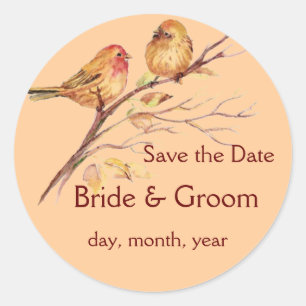 Two Little Bird Sparrows Peach Brown Rustic Nature Classic Round Sticker