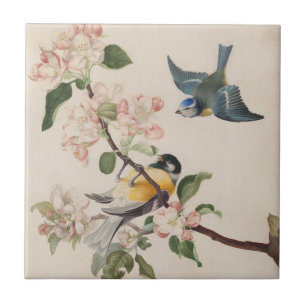 Two little birds near a branch of apple blossoms,  tile