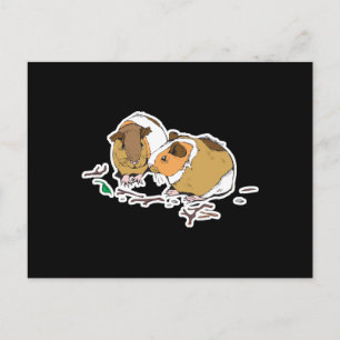 two little guinea pigs postcard