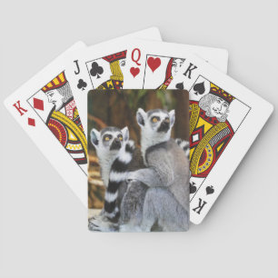Two Little Lemurs Playing Cards