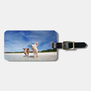 Two little piglets luggage tag