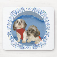 Two Little Shih Tzu Rescue Doggies