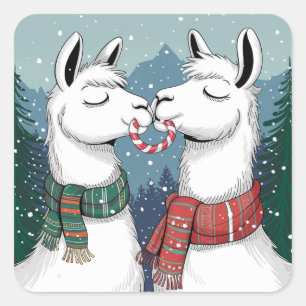 Two llamas Kissing and Sharing a Candy Cane Square Sticker