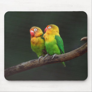 Two Lovebirds on a Branch Mouse Pad