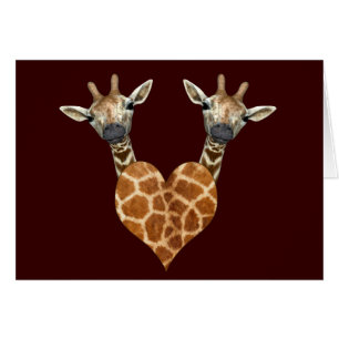 Two Lovely Giraffes