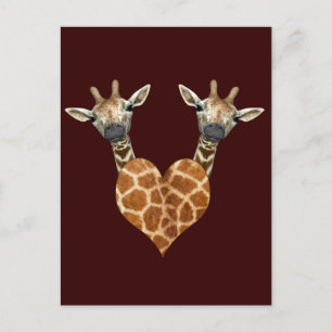 Two Lovely Giraffes Postcard