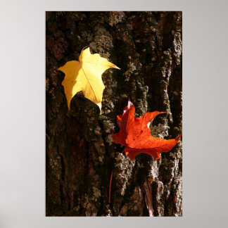 Two Lovers The Maple leafs Poster
