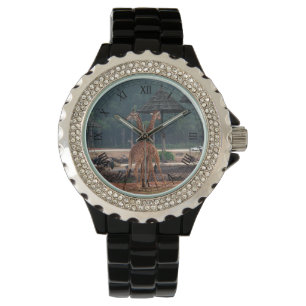two loving giraffes watch