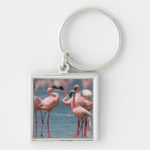Two Male Lesser Flamingos (Phoenicopterus Minor) Keychain