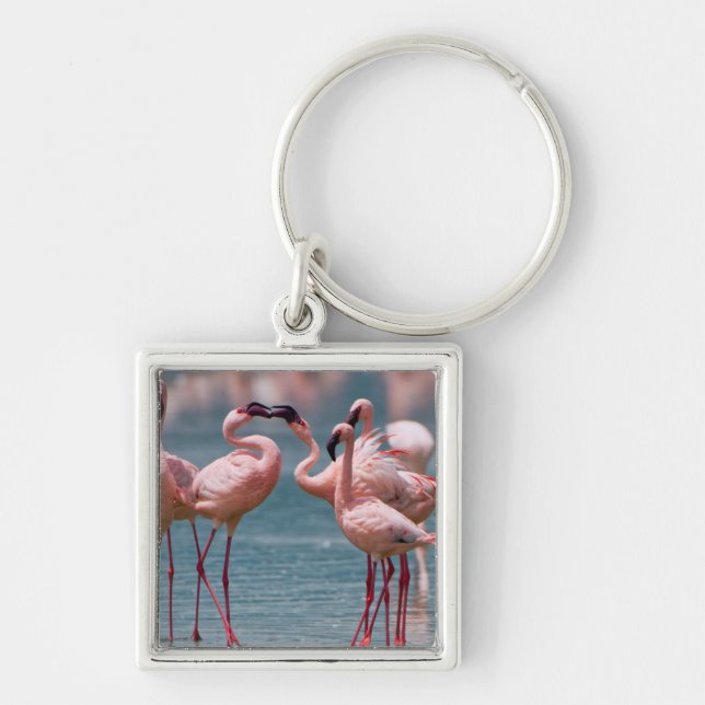 Two Male Lesser Flamingos (Phoenicopterus Minor) Keychain (Front)