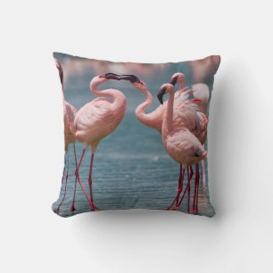 Two Male Lesser Flamingos (Phoenicopterus Minor) Throw Pillow