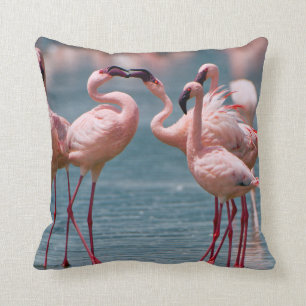 Two Male Lesser Flamingos (Phoenicopterus Minor) Throw Pillow