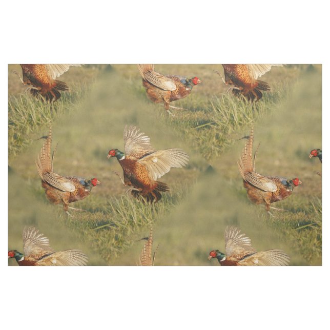 Two male ring-neck pheasants fighting. fabric (Fat Quarter)