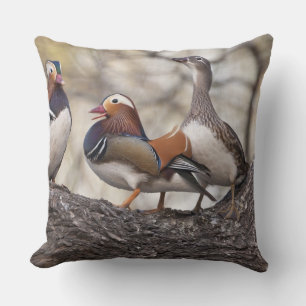 Two males vying for a female Mandarin duck Throw Pillow