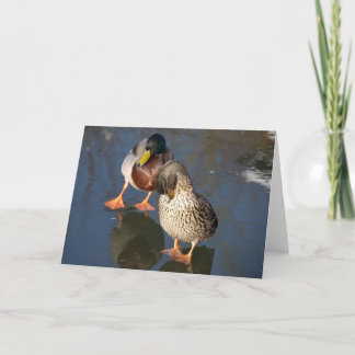 Two Mallard Ducks Greeting Card