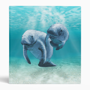 Two Manatees Swimming Binder