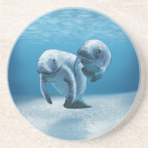Two Manatees Swimming Coaster