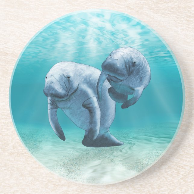 Two Manatees Swimming Coaster (Front)