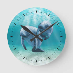 Two Manatees Swimming Round Clock