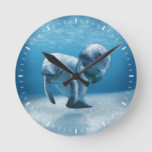 Two Manatees Swimming Round Clock