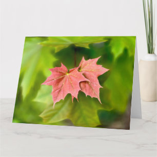 Two maple leaves card