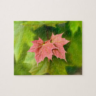 Two maple leaves jigsaw puzzle