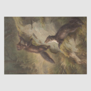 Two Martens on a Stone in the Forest Tissue Paper