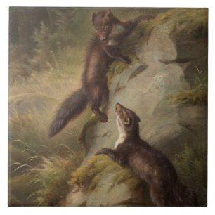 Two Martens Playfully Fighting in the Woods Tile