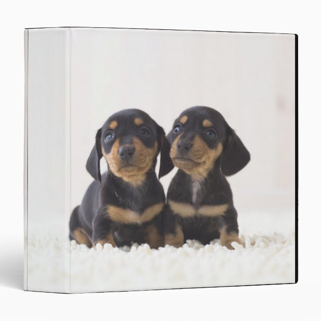 Two Mini Dachshund Sitting Binder (Front/Spine)