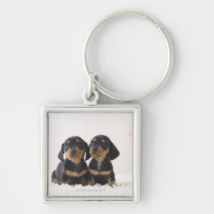 Two Mini Dachshund Sitting Keychain
