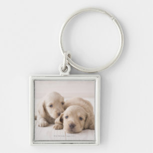 Two Miniature Dachshund Keychain