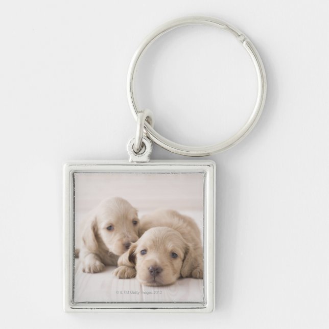 Two Miniature Dachshund Keychain (Front)