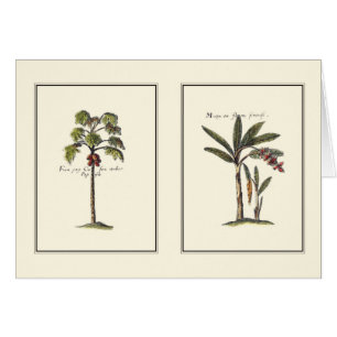 Two Miniature Framed Palm Trees