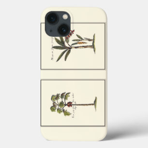 Two Miniature Framed Palm Trees iPhone 13 Case