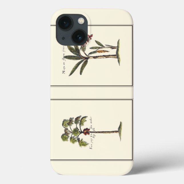 Two Miniature Framed Palm Trees Case-Mate iPhone Case (Back)