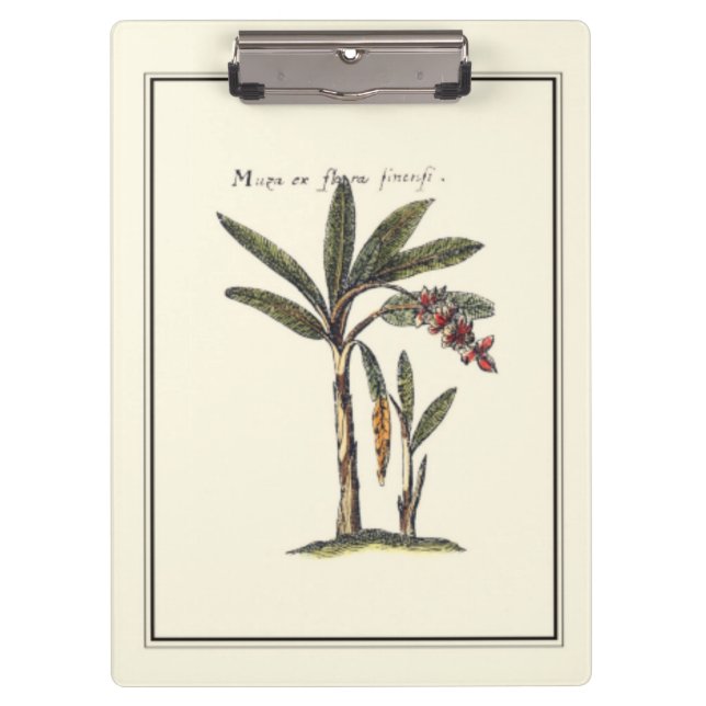 Two Miniature Framed Palm Trees Clipboard (Front)