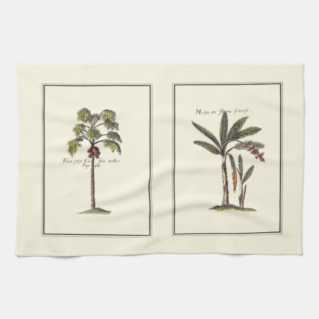 Two Miniature Framed Palm Trees Kitchen Towel (Horizontal)
