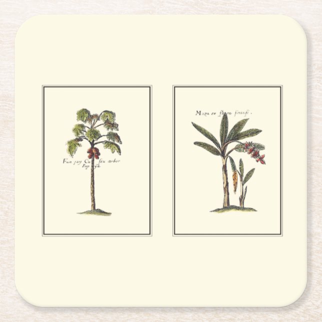 Two Miniature Framed Palm Trees Square Paper Coaster (Front)