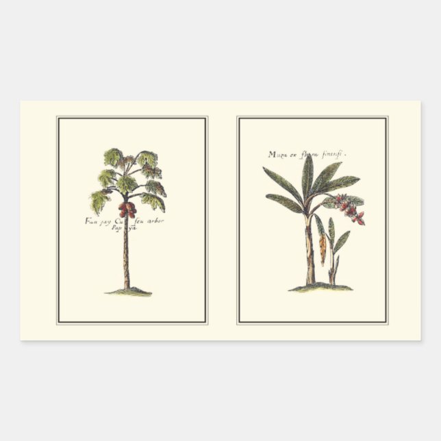 Two Miniature Framed Palm Trees Sticker (Front)