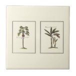 Two Miniature Framed Palm Trees Tile<br><div class="desc">Two miniature framed prints of palm trees. Simple and subtle, this piece will not distract from the allure of a room. Would make a great gift for yourself or a loved one!</div>