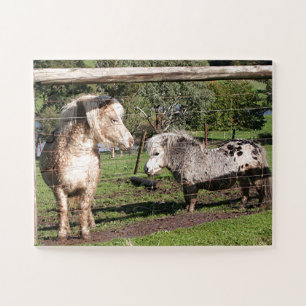Two miniature ponies in a paddock jigsaw puzzle