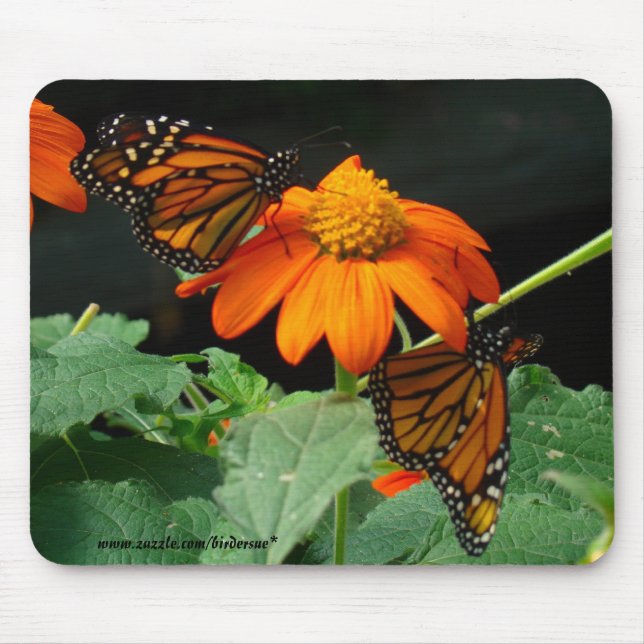 Two Monarchs Mouse Pad (Front)