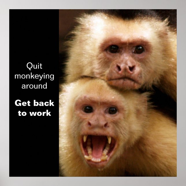 Two Monkeys Motivational Poster (Front)