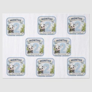 Two Months of Wonder Tissue Paper