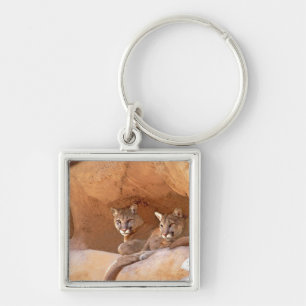 Two Mountain Lions Keychain