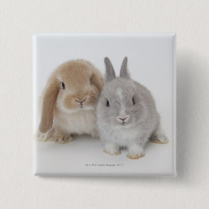 Two Netherland Dwarf and Holland Lop bunnies 2 Inch Square Button