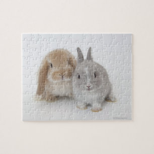 Two Netherland Dwarf and Holland Lop Bunnies Jigsaw Puzzle